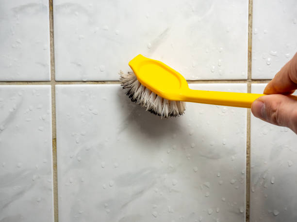 Best Localized Mold Remediation (e.g., coastal areas, humid climates) in Stroud, OK