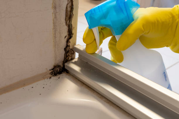Best Kitchen Mold Remediation in Stroud, OK