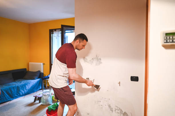 Professional Mold Remediation in Stroud, OK