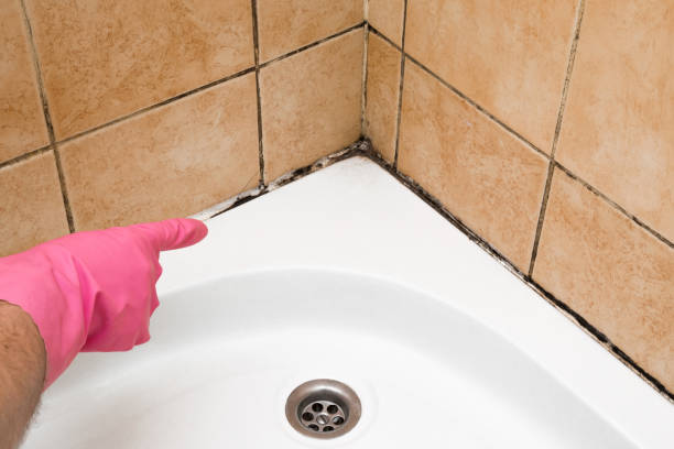 Best Kitchen Mold Remediation in Stroud, OK